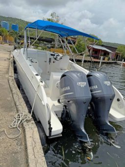 
										BLACK JACK 32 full									