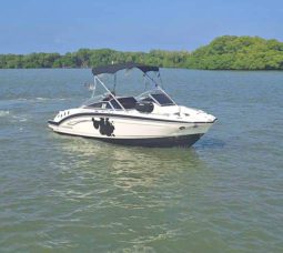 
										CHAPARRAL 246 24 full									