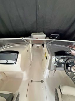 CHAPARRAL 246 24