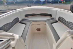 CHAPARRAL 246 24