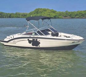 CHAPARRAL 246 24