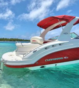CHAPARRAL SSX 25
