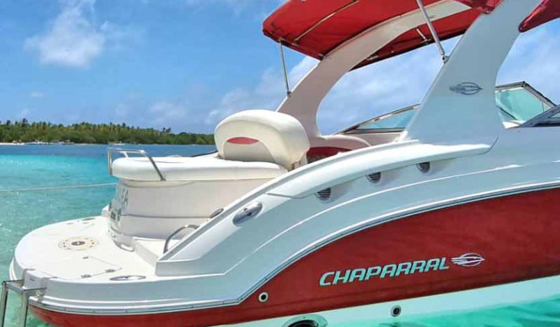 
								CHAPARRAL SSX 25 full									