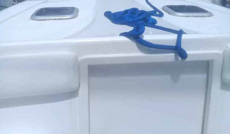 
								COMMANDER 32.5 full									