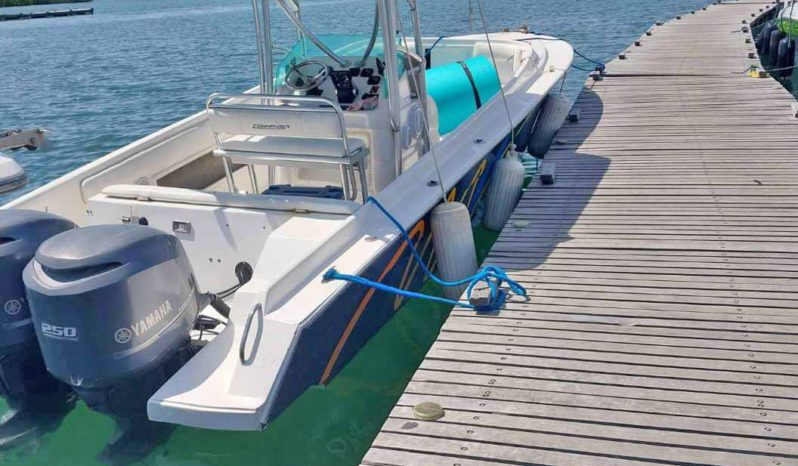 
								COMMANDER 32.5 full									