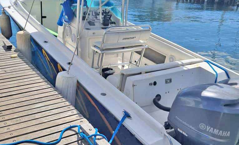 
								COMMANDER 32.5 full									
