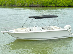 CORALINE OPEN 21