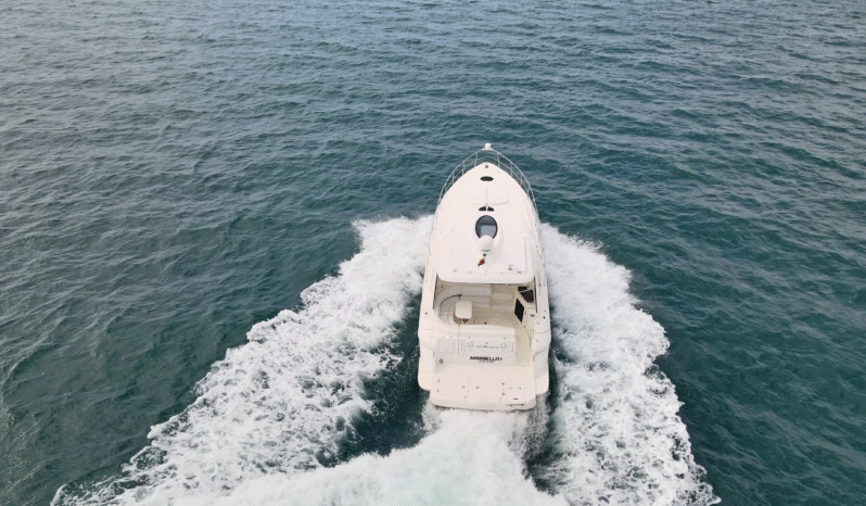 
								CRUISERS YACHTS 460 46.9 full									