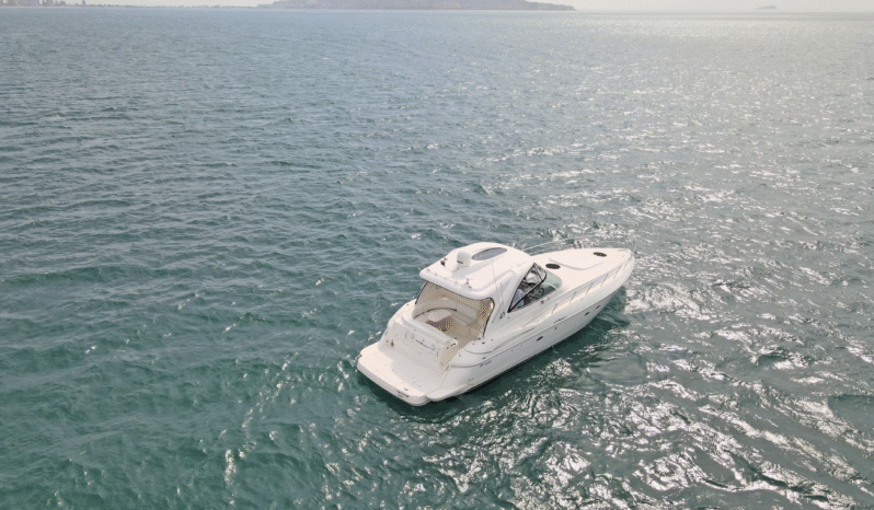 
								CRUISERS YACHTS 460 46.9 full									