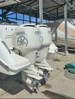 PAREJA YAMAHA FOUR STROKE 250HP