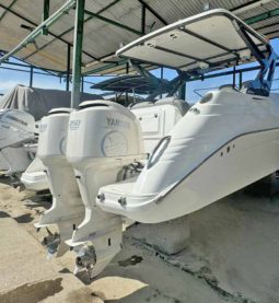 PAREJA YAMAHA FOUR STROKE 250HP