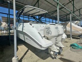 PAREJA YAMAHA FOUR STROKE 250HP
