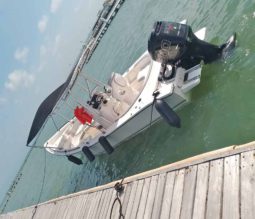 
										PEÑERO AQUABOATS 32 full									