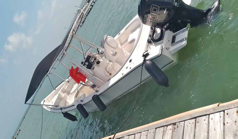 
								PEÑERO AQUABOATS 32 full									