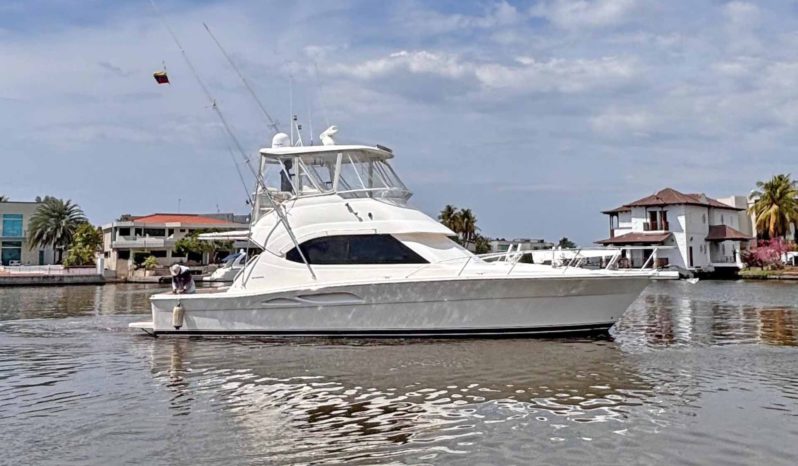 
								RIVIERA 41 full									
