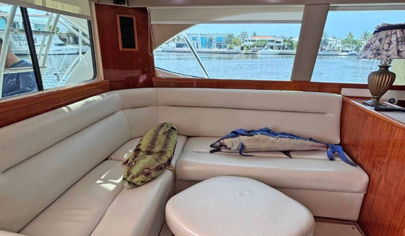 
								RIVIERA 41 full									