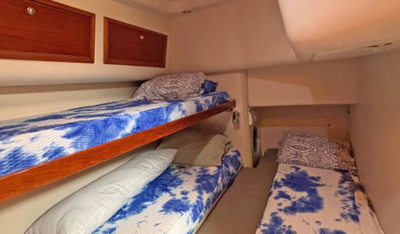 
								RIVIERA 41 full									