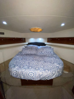 
										RIVIERA 41 full									