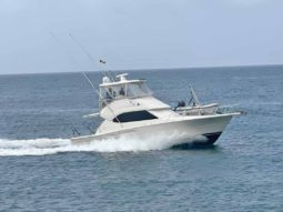 RIVIERA 41