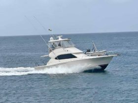 RIVIERA 41