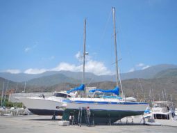
										VELERO MORGAN OUT ISLAND 49 full									
