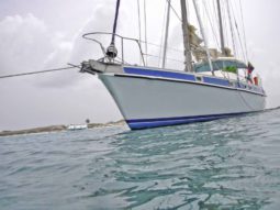 
										VELERO MORGAN OUT ISLAND 49 full									