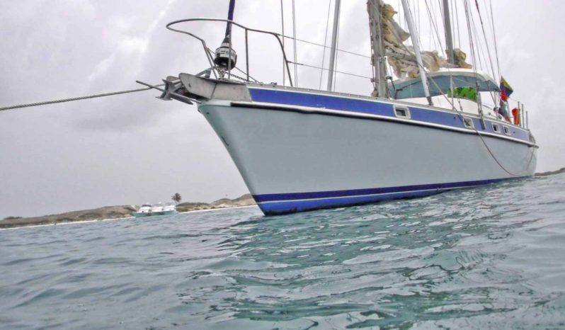 
								VELERO MORGAN OUT ISLAND 49 full									