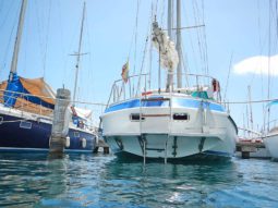 
										VELERO MORGAN OUT ISLAND 49 full									