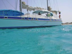 
										VELERO MORGAN OUT ISLAND 49 full									
