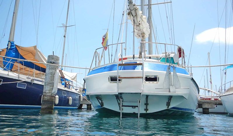 
								VELERO MORGAN OUT ISLAND 49 full									