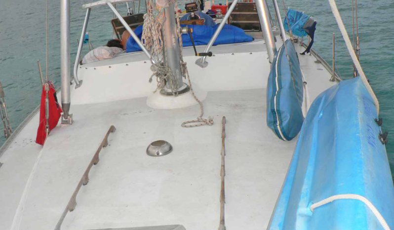 
								VELERO MORGAN OUT ISLAND 49 full									
