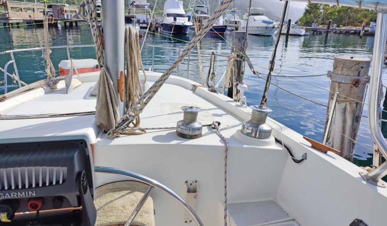 
								VELERO MORGAN OUT ISLAND 49 full									