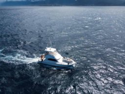 
										RIVIERA 41 full									