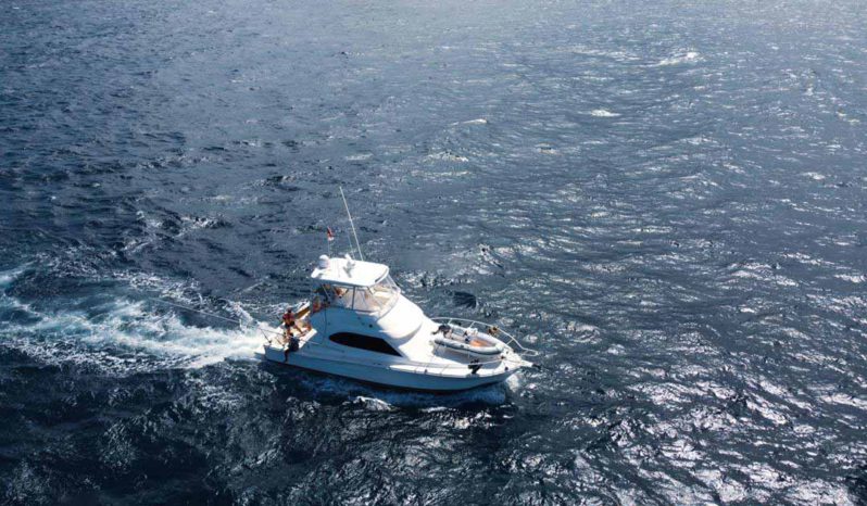 
								RIVIERA 41 full									