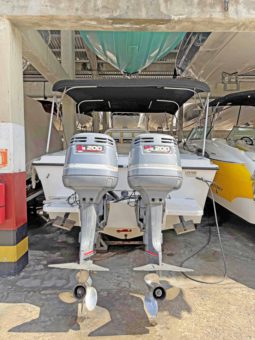 
										ANGLER 252F 25 full									