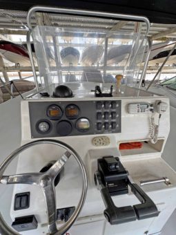 
										ANGLER 252F 25 full									