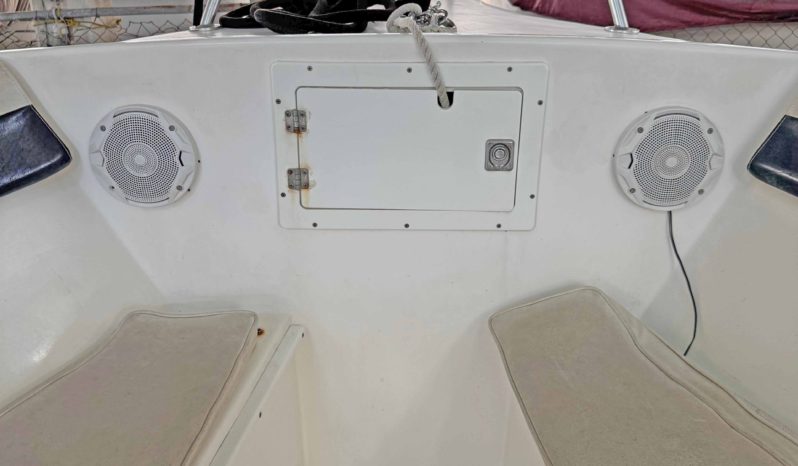 
								ANGLER 252F 25 full									
