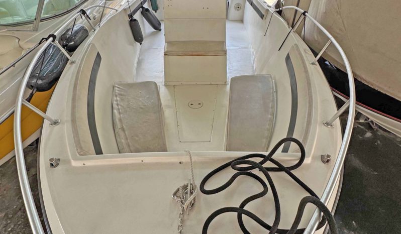 
								ANGLER 252F 25 full									