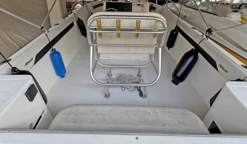 
								ANGLER 252F 25 full									