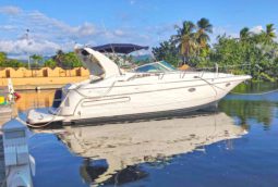 CRUISERS YACTH 3575 ESPRIT 36
