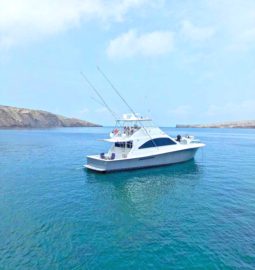 
										OCEAN YACHT SS 62 full									