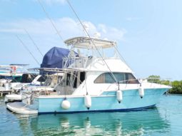 BERTRAM SF 46.6