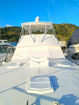 BERTRAM SF 46.6