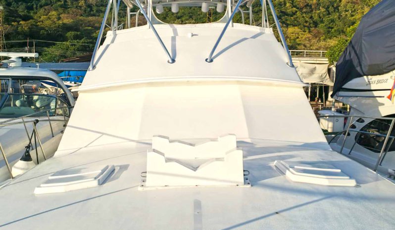 
								BERTRAM SF 46.6 full									