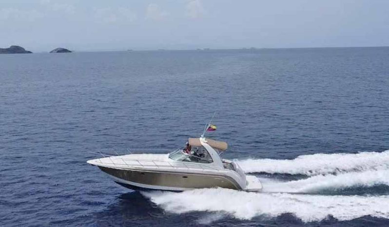 
								FORMULA 40PC 40 full									