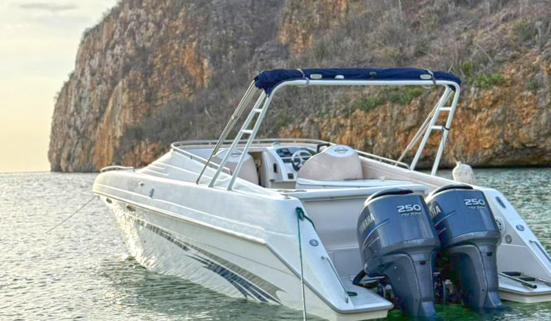 
								INTERMARINE 35 full									