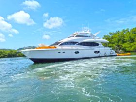 LAZZARA CMY 84