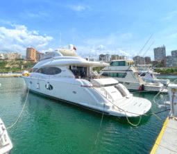
										LAZZARA CMY 84 full									