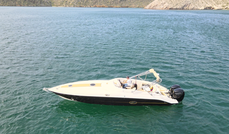 
								LEGACY GEN 35 full									