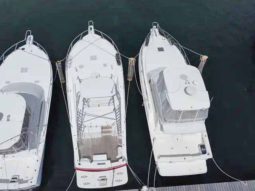 
										LUHRS OPEN 41 full									